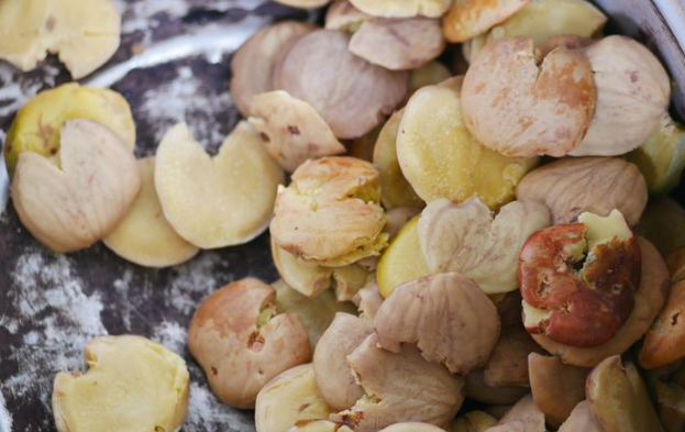 Tips Merebus Jengkol agar Teksturnya Lembut dan Enak