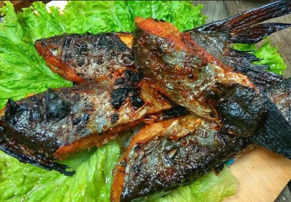 Tips Memasak Ikan Patin Bakar Bumbu Khas Kalimantan