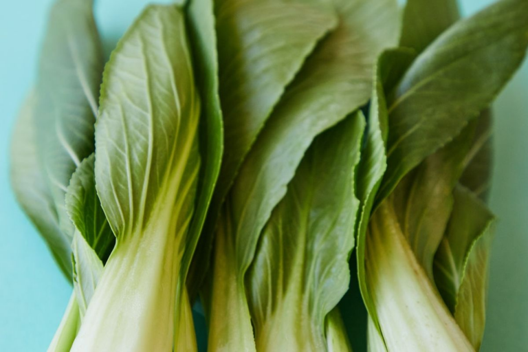 Rendam Sayuran Hijau Agar Tetap Segar Dan Renyah Tahan Lama